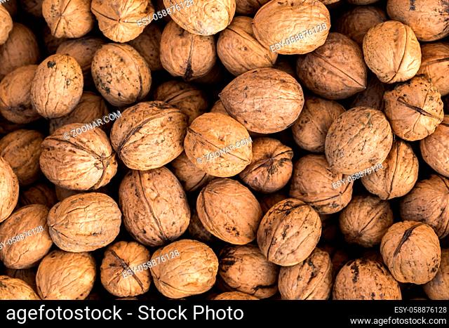 Walnuts. Whole walnuts background. Many walnuts close-up