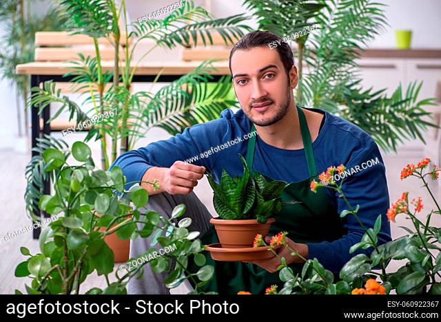 Young gardener with plants indoors