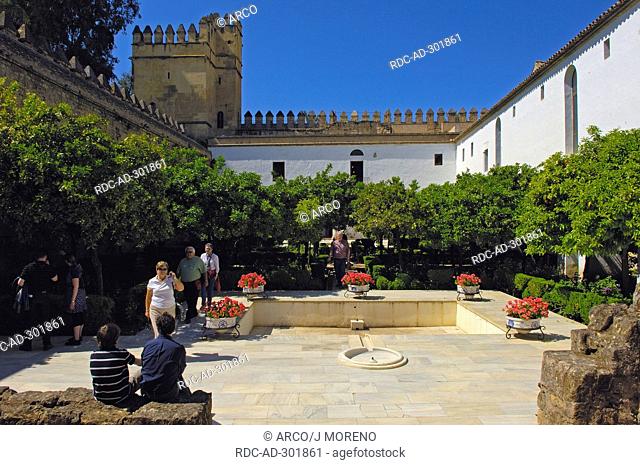 Inner courtyard, Alcazar de los Reyes Cristianos, Cordoba, Andalusia, Spain / Alcazar of the Christian Monarchs, Alcazar of the Catholic Kings