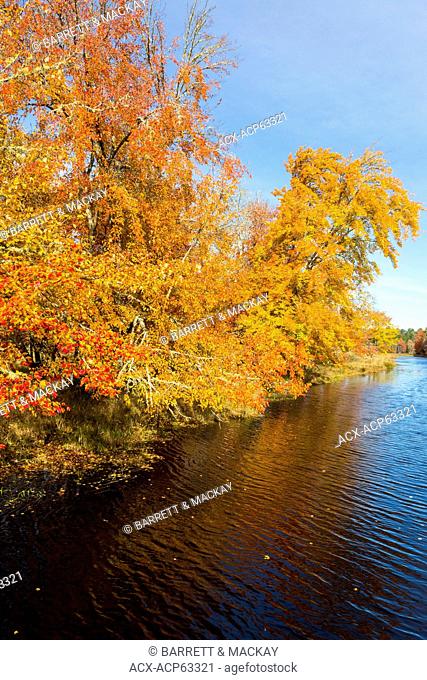 Mersey River, Kejimkujik National Park, Nova Scotia, Canada
