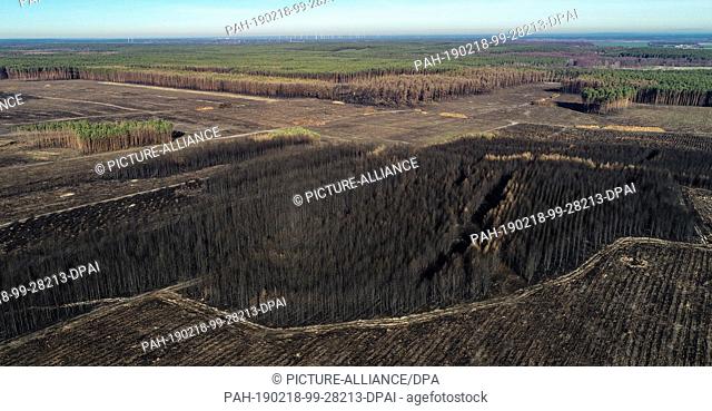 15 February 2019, Brandenburg, Treuenbrietzen: Large areas of the burnt forest near the federal highway 102 have already been cleared (aerial photograph with a...