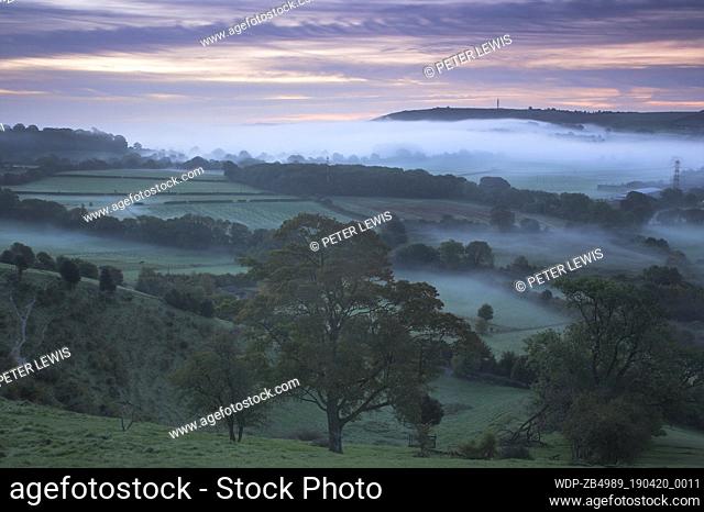 Misty dawn over the South Downs from Park Hill nr East Meon looking over towards Butser Hill Hampshire