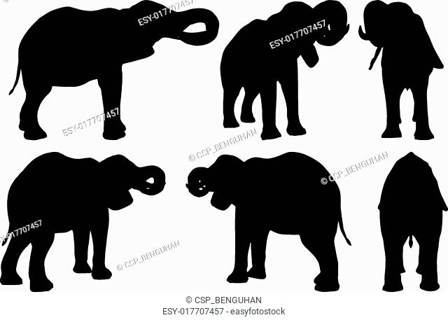 Set of editable vector silhouettes of African elephants in drink poses