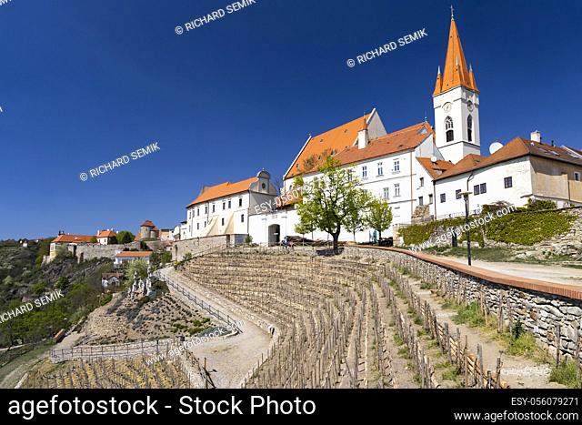 Town Vineyard Znojmo, South Moravia Czech Republic