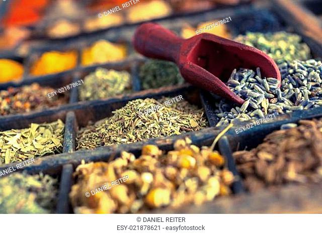 Different Spices and herbs including Lavender