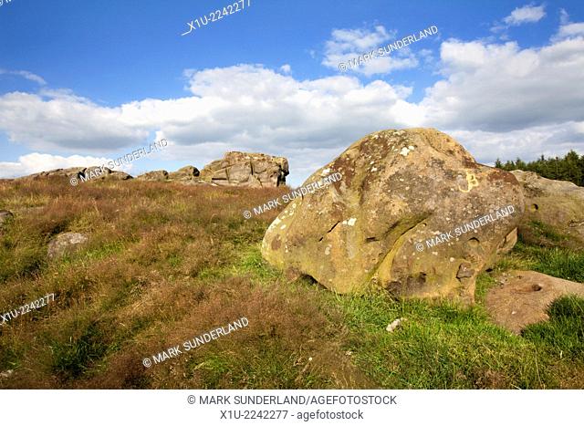 Little Alms Cliff near Beckwithshaw Harrogate North Yorkshire England
