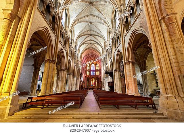 Cathedral Saint Cyr and Sainte Julitte, Nevers, Nievre, Bourgogne, France, Europe