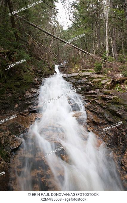 Crawford Notch State Park   Kedron Flume during the spring months  Located on Kedron Brook next to the  Kedron Flume Trail in Harts Location, New Hampshire USA