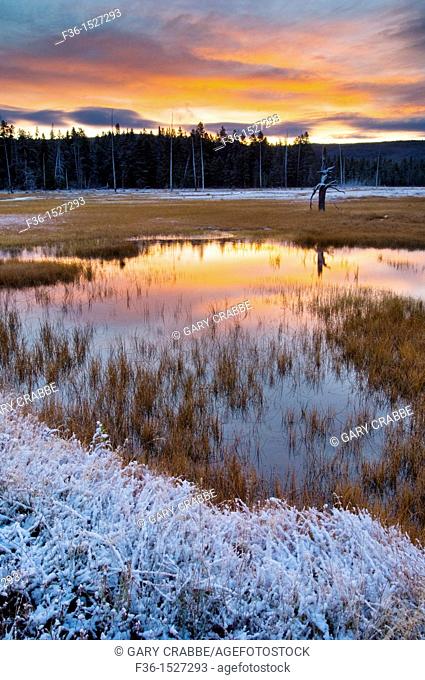 Stormy autumn sunrise reflected in pond near Midway Geyser Basin, Yellowstone National Park, Wyoming
