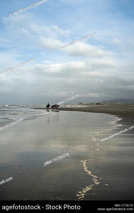 Horse riders on the beach at Opotiki, Bay of Plenty District, North Island, New Zealand