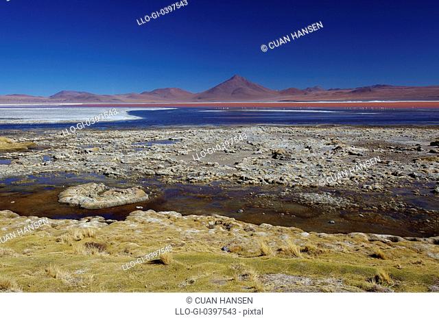 View of the fiery red Laguna Colorada, Los Lipez, South-western Bolivia, South America
