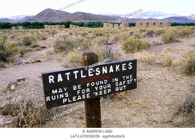Rattlesnakes are a group of venomous snakes, they will not attack unless threatened, prefering to flee from its predators