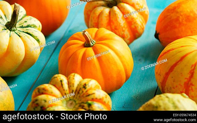 From above view of ripe orange pumpkins placed in lines on wooden background
