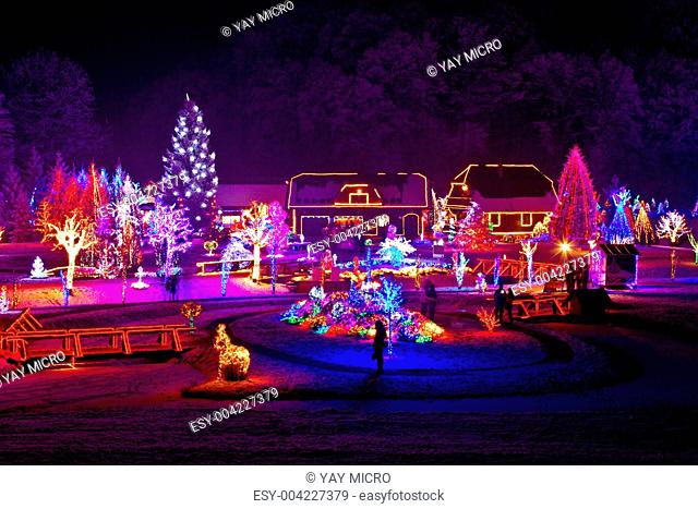 Christmas fantasy - trees and houses in lights