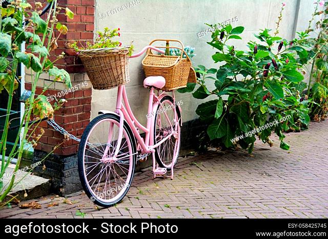 Typically Holland - pink bicycle with baskets and flowers and wine leaning against a wall as a decoration