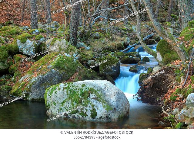 Waterfall in the river Puente Ra in the natural park of the Sierra Cebollera. La Rioja