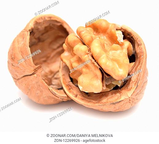 Open walnut isolated on white background