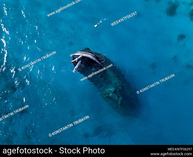 Aerial view of lone man snorkeling around sunken shipwreck