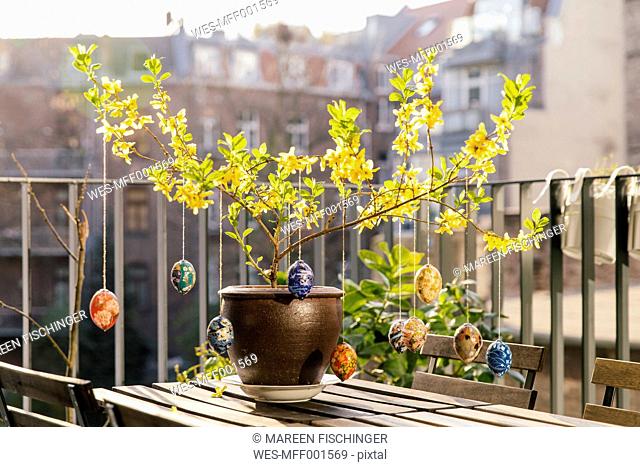 Balcony Easter decoration in Forsythia