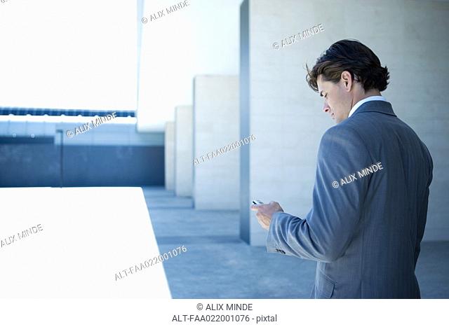 Young businessman looking at cell phone, rear view