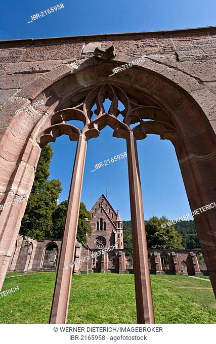 Hirsau Abbey, former monastery of St. Peter and Paul, Romanesque, near Calw, Black Forest, Baden-Wuerttemberg, Germany, Europe