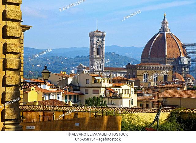 Santa Maria del Fiore cathedral seen from Boboli gardens, Florence, Tuscany, Italy