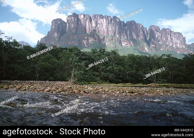 Table Mountain Auyan Tepui and Churun River, Canaima National Park, Bolivar Province, Venuzuela