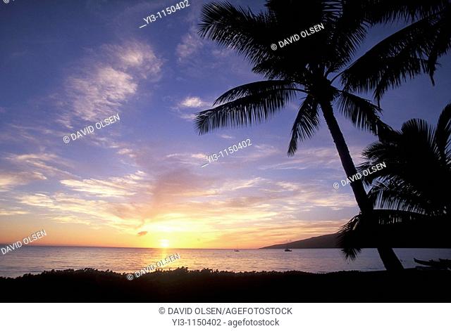 Sunset a North Kihei, Maui with palm trees