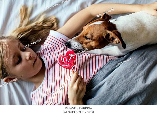 Girl lying on bed watching her dog licking lollipop