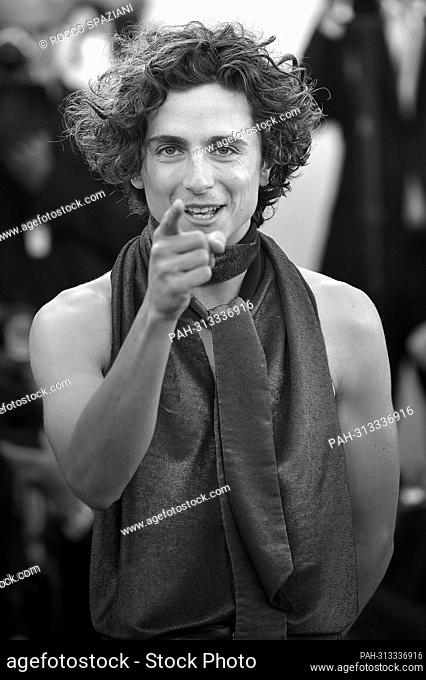 VENICE, ITALY - SEPTEMBER 02:Timothee Chalamet attend the ""Bones And All"" red carpet at the 79th Venice International Film Festival on September 02