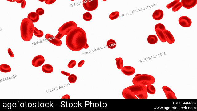 Red Blood Cells Flowing Through Circulatory System