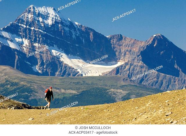 Woman hiking on the Skyline Trail with Mount Edith-Cavell in the background, Jasper National Park, Alberta, canada