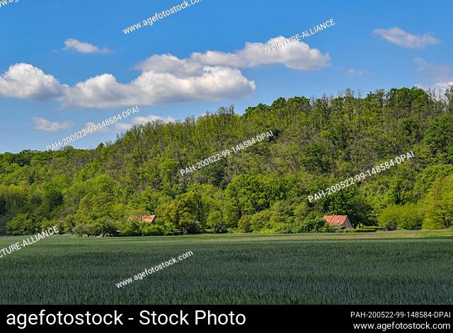 20 May 2020, Brandenburg, Reitwein: Clouds drift across the blue sky over the landscape at the edge of the Oderbruch. Here at the Reitweiner Sporn