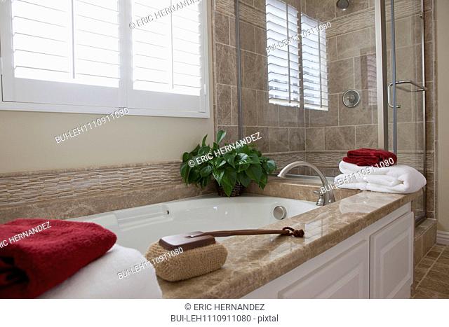 Contemporary bathroom with bath and glass shower at home