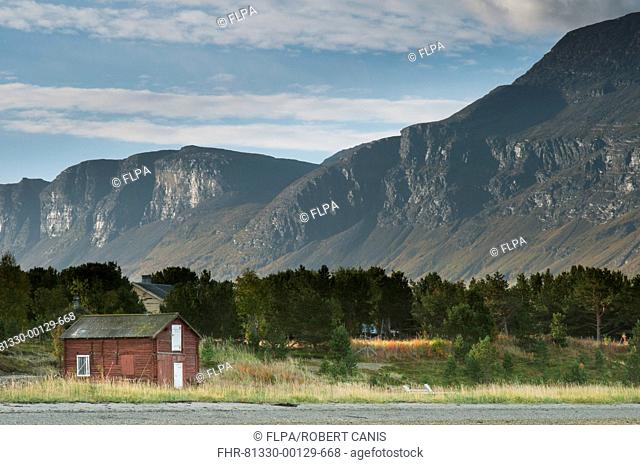 View of hut on shore of fjord, Skibotn, Lyngen Fjord, Troms County, Lapland, North Norway, September