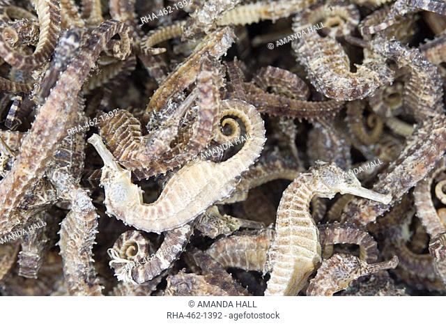 Dried seahorses for sale in seafood shop, Chinatown, Singapore, South East Asia
