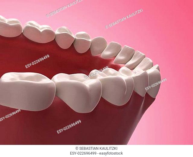 3d rendered illustration - lower teeth