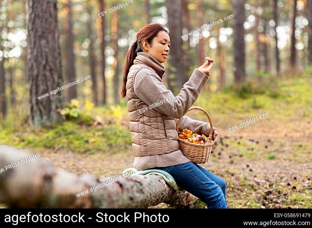 woman with mushrooms in basket in autumn forest