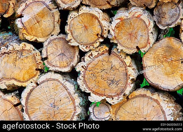 Holzstapel Korkeiche - stack of wood from cork oak 03