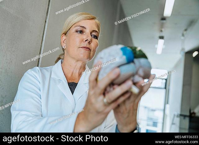 Woman holding multi colored artificial brain while standing at clinic corridor