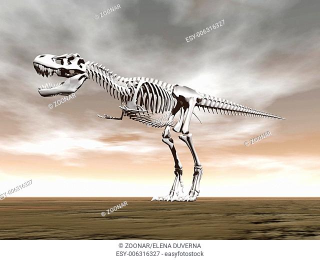 Tyrannosaurus rex skeleton - 3D render