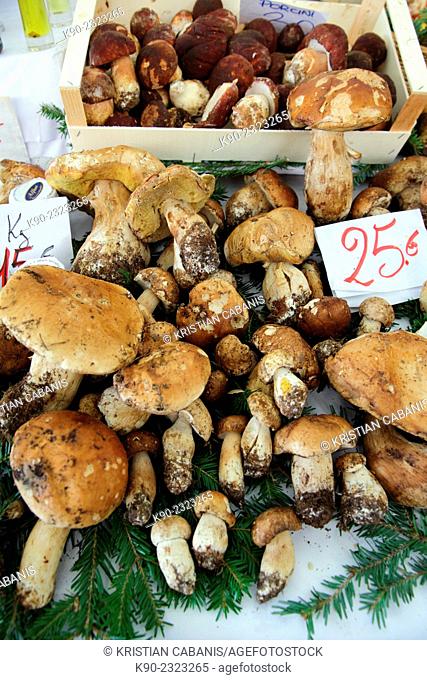 Cep (Boletus edulis) for sale on the farmers market, Sanremo, Liguria, Italy, Europe