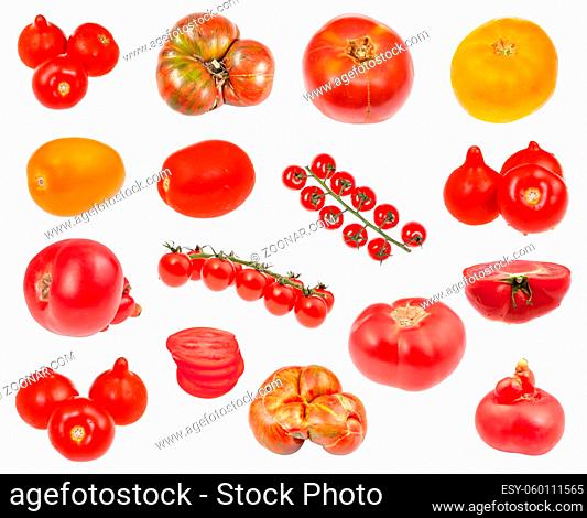 many various fresh tomatoes isolated on white background