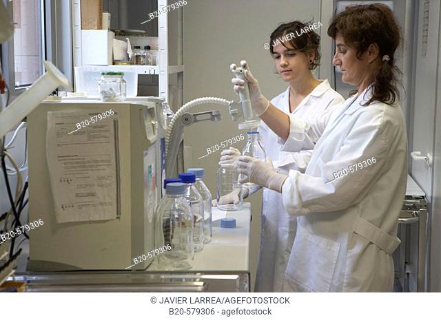 Technical staff working with the water purification equipment. Laboratory, Fundación Inbiomed, Genetrix Group. Center for research in stem cells and...