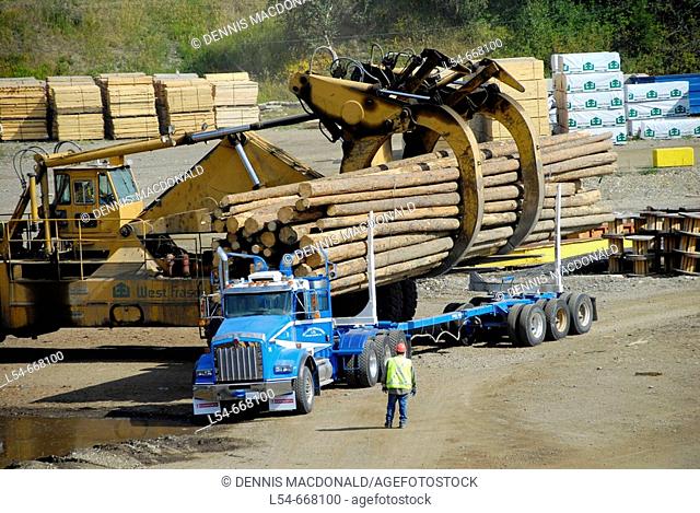 Logging Trucks Transport Lumber Forestry Logging Wood Industry Quesnel British Columbia BC Canada natural resources