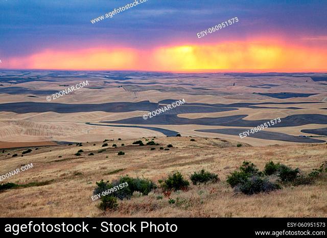 A view of the Palouse from the top of Steptoe Butte in eastern Washington, USA