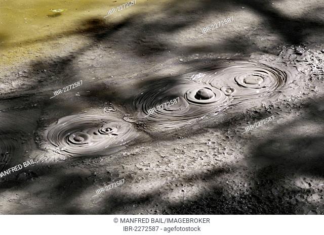 Boiling mud pools with vapour bubbles, Guanacaste province, Rincon de la Vieja National Park, Costa Rica, Central America