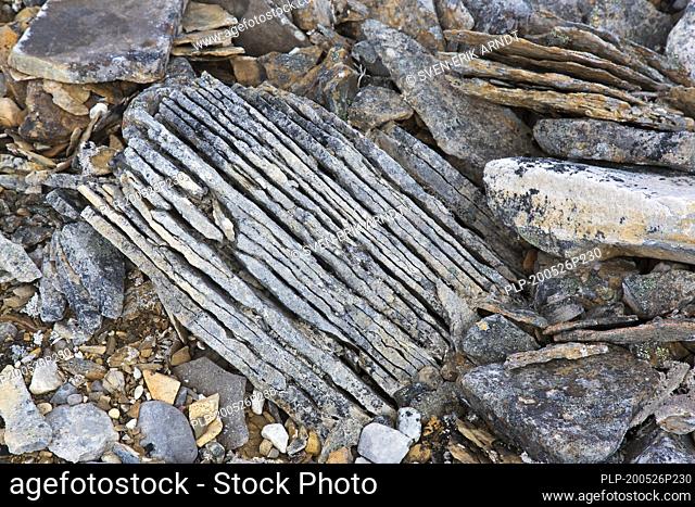 Close-up of shattered sedimentary rock, slate / shale fractured along existing joints by frost weathering on Svalbard / Spitsbergen, Norway