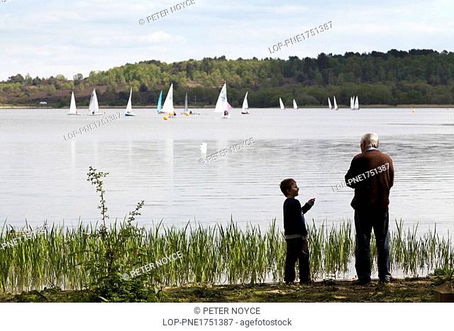 England, Surrey, Frensham. Grandfather and grandson feeding ducks at Frensham Pond with sail boats on lake
