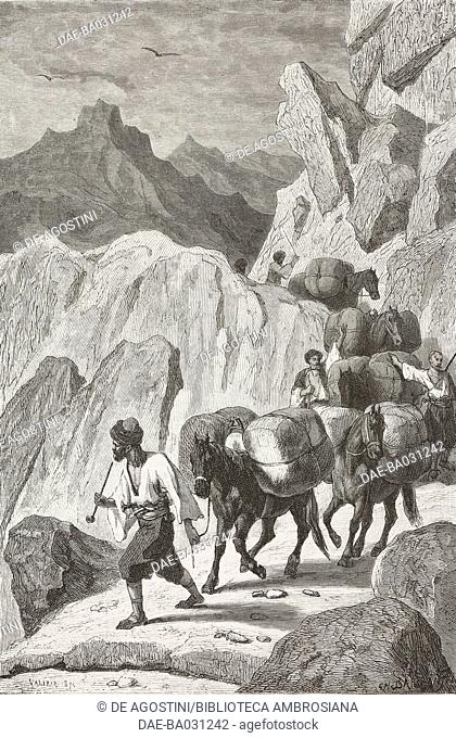 Turkish mule driver from Herzegovina bringing merchandise to Dubrovnik, Croatia, life drawing by Theodore Valerio (1819-1879), from Dalmatia, 1874
